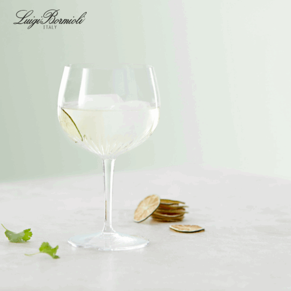 Luigi Bormioli G&T 4 stk